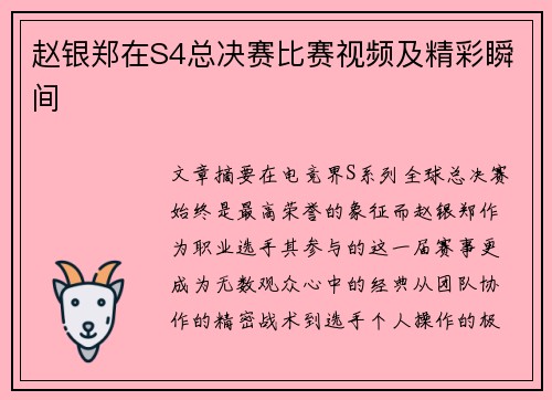 赵银郑在S4总决赛比赛视频及精彩瞬间