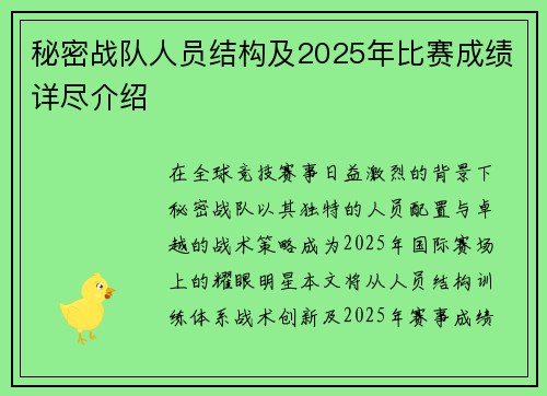 秘密战队人员结构及2025年比赛成绩详尽介绍