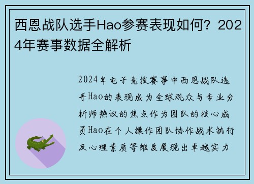 西恩战队选手Hao参赛表现如何？2024年赛事数据全解析